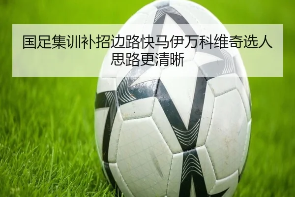 国足集训补招边路快马伊万科维奇选人思路更清晰